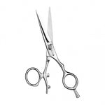 Rusk VG-10 Delta Straight Shears